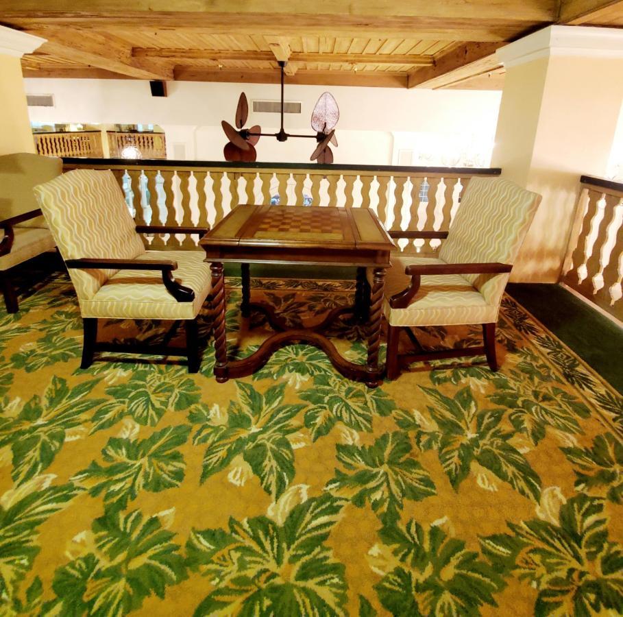 Romantic Studio In The Heart Of Παλμ Μπιτς Εξωτερικό φωτογραφία